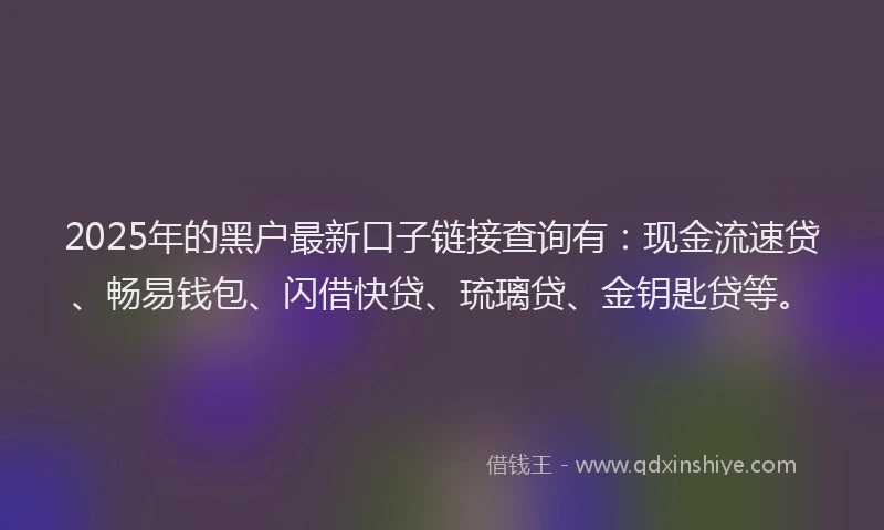 2025年的黑户最新口子链接查询有：现金流速贷、畅易钱包、闪借快贷、琉璃贷、金钥匙贷等。