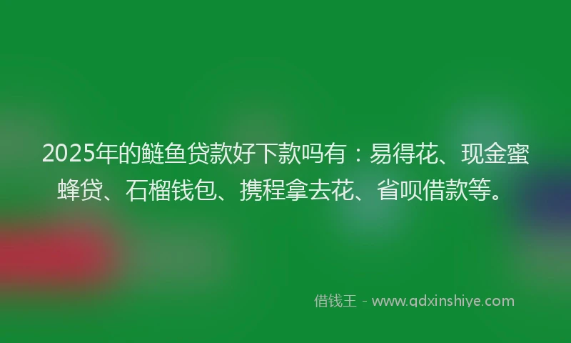 2025年的鲢鱼贷款好下款吗有:易得花、现金蜜蜂贷、石榴钱包、携程拿去花、省呗借款等。