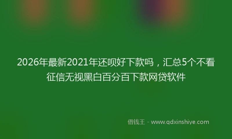2026年最新2021年还呗好下款吗，汇总5个不看征信无视黑白百分百下款网贷软件
