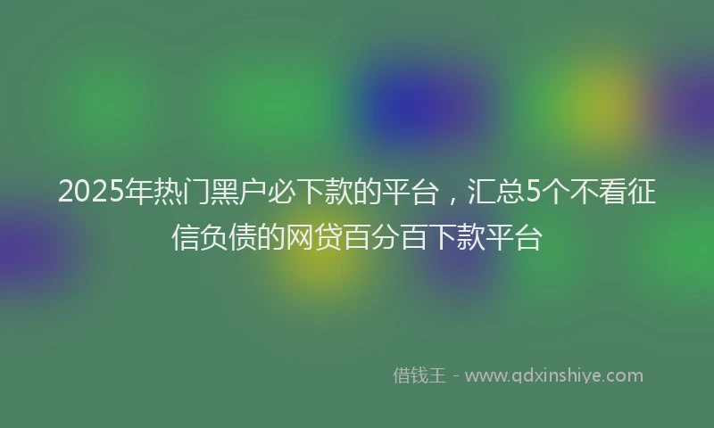2025年热门黑户必下款的平台,汇总5个不看征信负债的网贷百分百下款平台