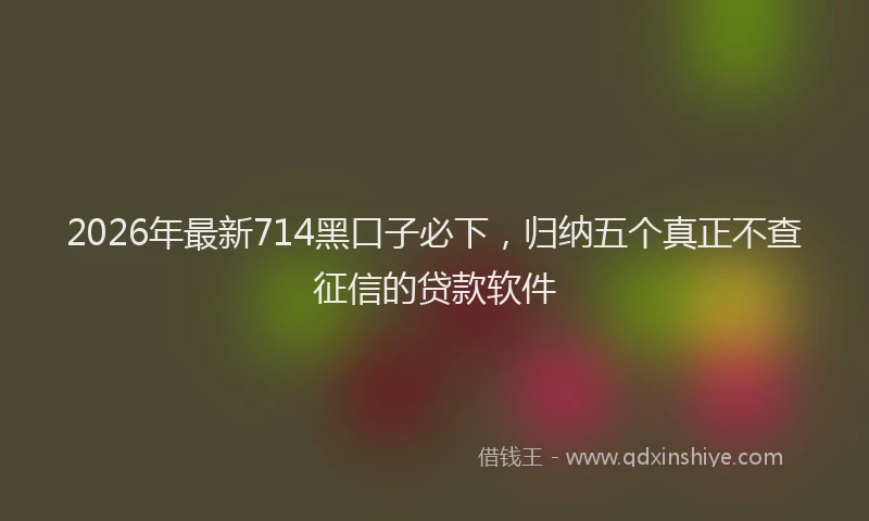2026年最新714黑口子必下，归纳五个真正不查征信的贷款软件