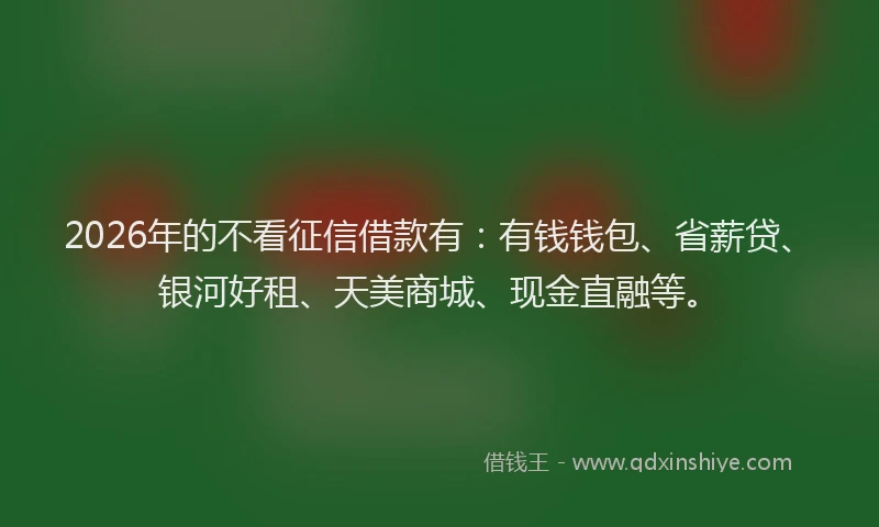 2026年的不看征信借款有：有钱钱包、省薪贷、银河好租、天美商城、现金直融等。