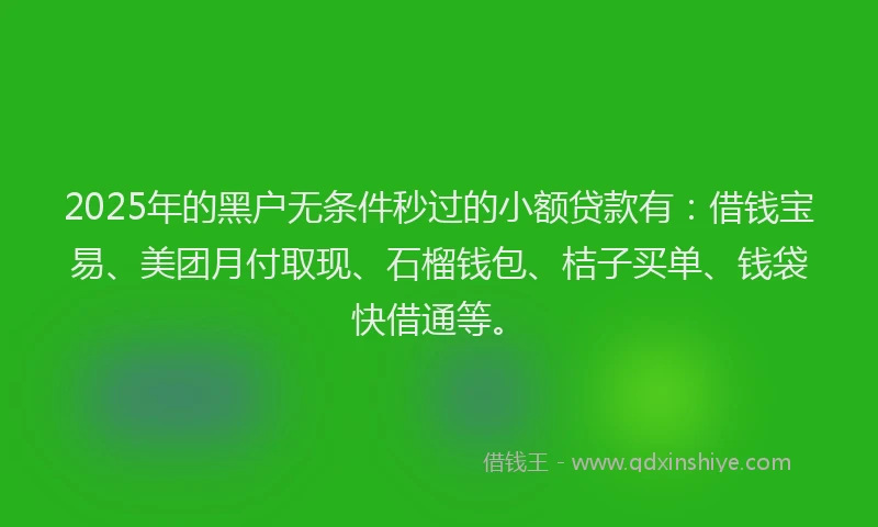 2025年的黑户无条件秒过的小额贷款有：借钱宝易、美团月付取现、石榴钱包、桔子买单、钱袋快借通等。