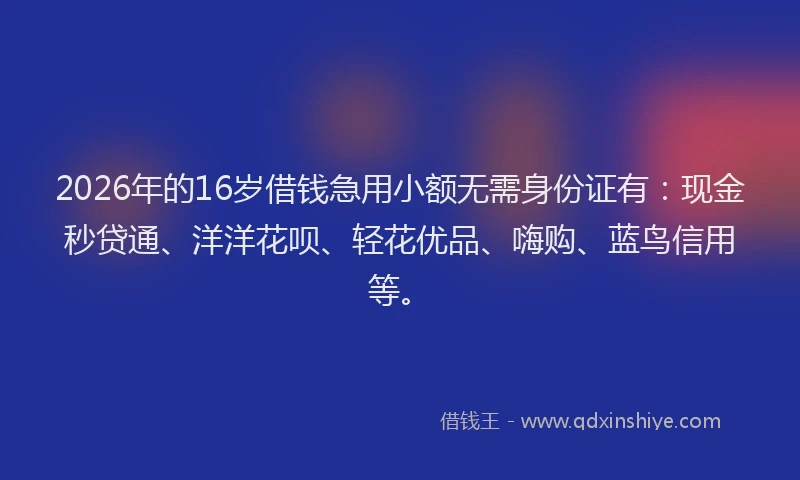 2026年的16岁借钱急用小额无需身份证有:现金秒贷通、洋洋花呗、轻花优品、嗨购、蓝鸟信用等。