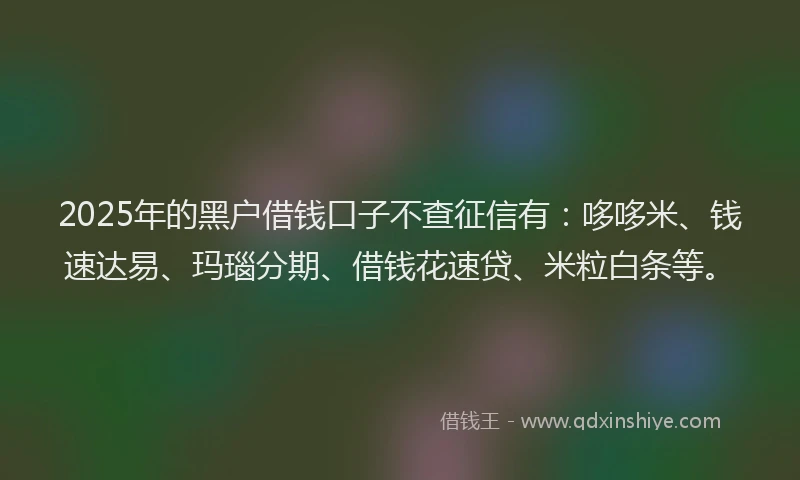 2025年的黑户借钱口子不查征信有：哆哆米、钱速达易、玛瑙分期、借钱花速贷、米粒白条等。