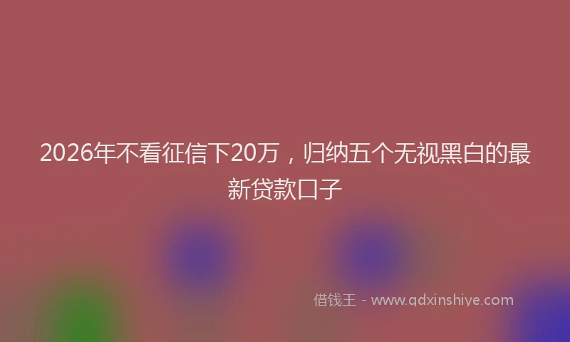 2026年不看征信下20万，归纳五个无视黑白的最新贷款口子