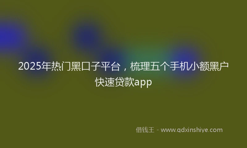 2025年热门黑口子平台，梳理五个手机小额黑户快速贷款app