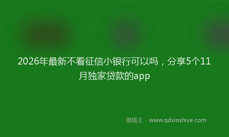 2026年最新不看征信小银行可以吗，分享5个11月独家贷款的app