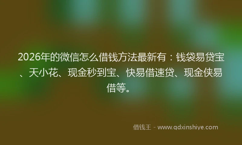 2026年的微信怎么借钱方法最新有:钱袋易贷宝、天小花、现金秒到宝、快易借速贷、现金侠易借等。