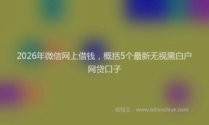 2026年微信网上借钱，概括5个最新无视黑白户网贷口子