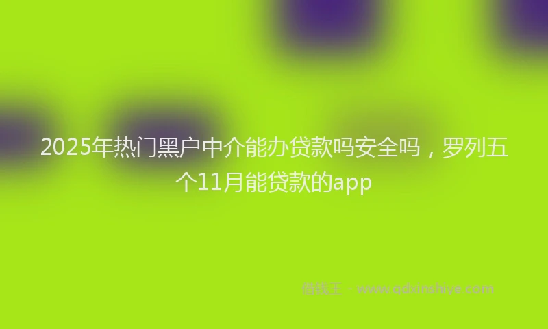 2025年热门黑户中介能办贷款吗安全吗，罗列五个11月能贷款的app