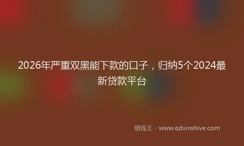 2026年严重双黑能下款的口子,归纳5个2024最新贷款平台