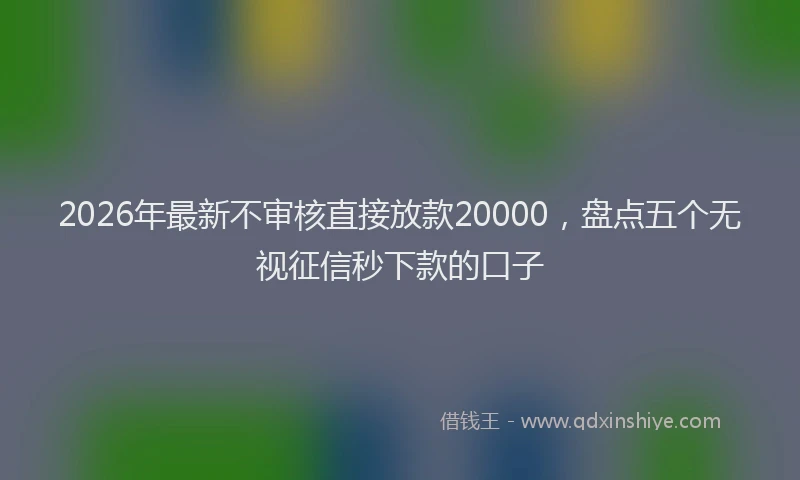 2026年最新不审核直接放款20000，盘点五个无视征信秒下款的口子