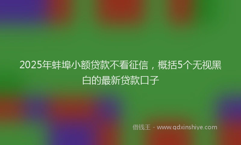2025年蚌埠小额贷款不看征信,概括5个无视黑白的最新贷款口子