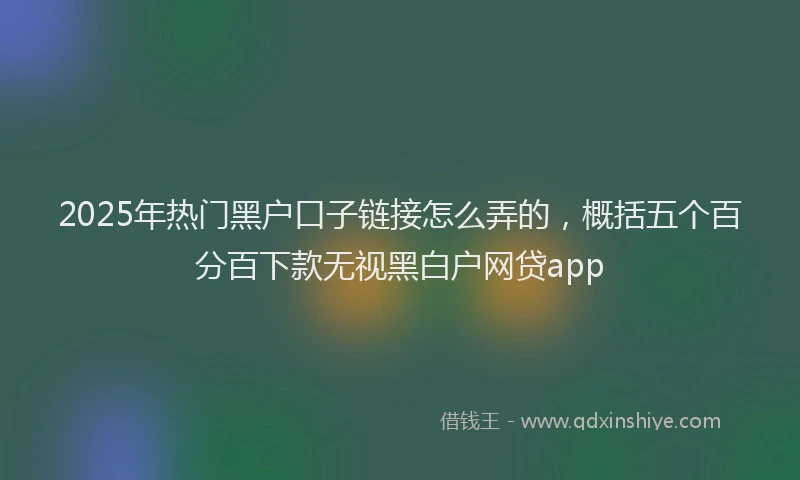 2025年热门黑户口子链接怎么弄的，概括五个百分百下款无视黑白户网贷app