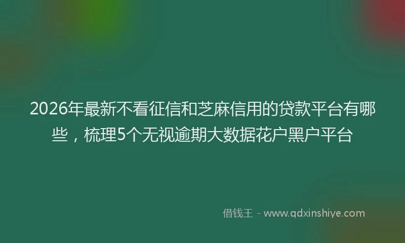 2026年最新不看征信和芝麻信用的贷款平台有哪些，梳理5个无视逾期大数据花户黑户平台