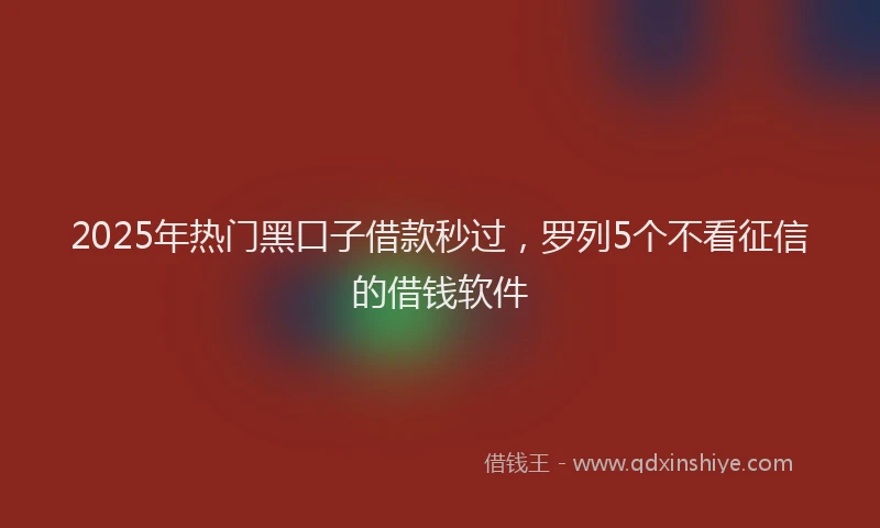 2025年热门黑口子借款秒过,罗列5个不看征信的借钱软件