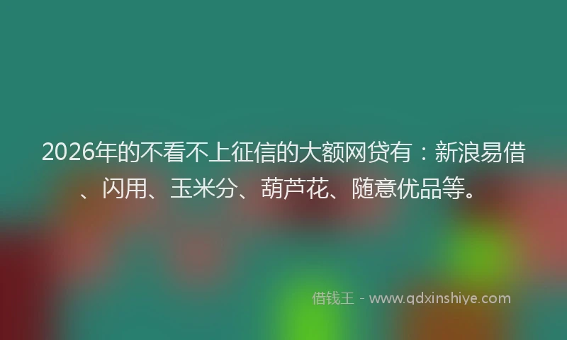 2026年的不看不上征信的大额网贷有：新浪易借、闪用、玉米分、葫芦花、随意优品等。