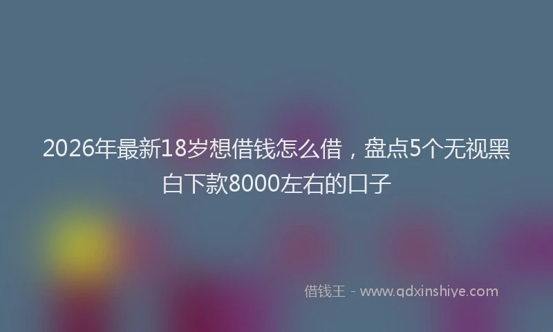 2026年最新18岁想借钱怎么借，盘点5个无视黑白下款8000左右的口子