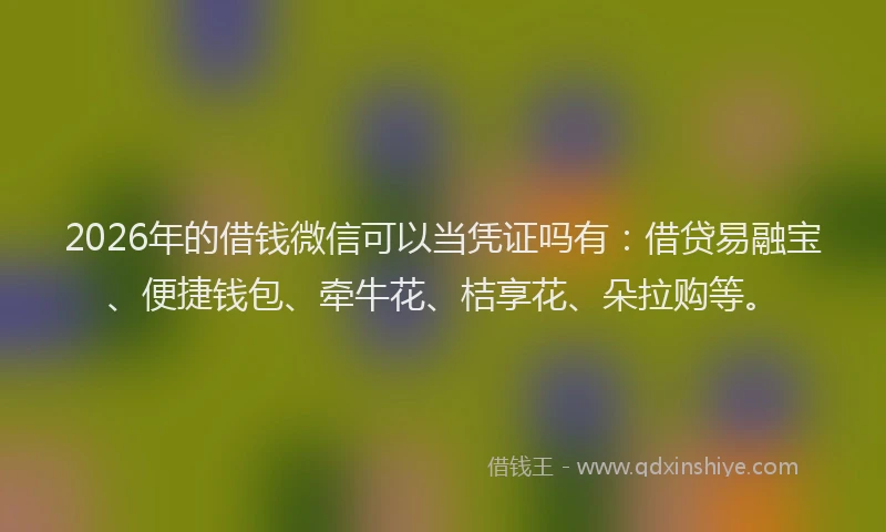 2026年的借钱微信可以当凭证吗有：借贷易融宝、便捷钱包、牵牛花、桔享花、朵拉购等。