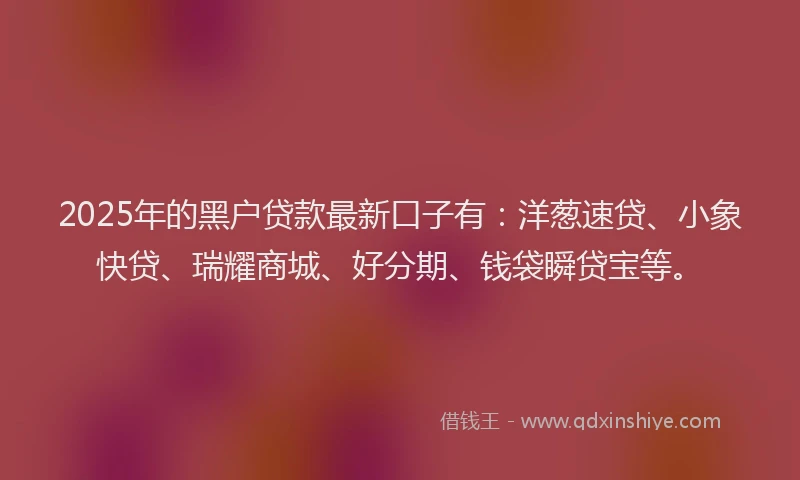 2025年的黑户贷款最新口子有：洋葱速贷、小象快贷、瑞耀商城、好分期、钱袋瞬贷宝等。