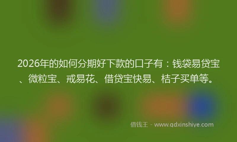 2026年的如何分期好下款的口子有:钱袋易贷宝、微粒宝、戒易花、借贷宝快易、桔子买单等。