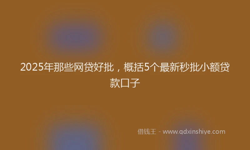 2025年那些网贷好批，概括5个最新秒批小额贷款口子