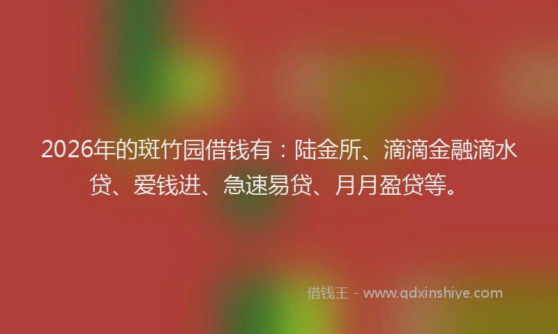 2026年的斑竹园借钱有：陆金所、滴滴金融滴水贷、爱钱进、急速易贷、月月盈贷等。