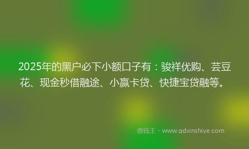 2025年的黑户必下小额口子有：骏祥优购、芸豆花、现金秒借融途、小赢卡贷、快捷宝贷融等。