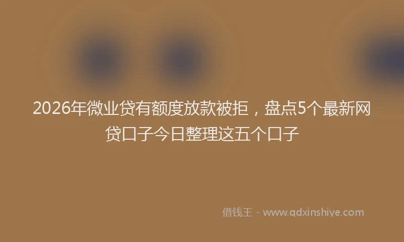 2026年微业贷有额度放款被拒,盘点5个最新网贷口子今日整理这五个口子