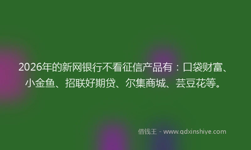 2026年的新网银行不看征信产品有：口袋财富、小金鱼、招联好期贷、尔集商城、芸豆花等。