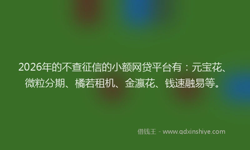 2026年的不查征信的小额网贷平台有:元宝花、微粒分期、橘若租机、金瀛花、钱速融易等。