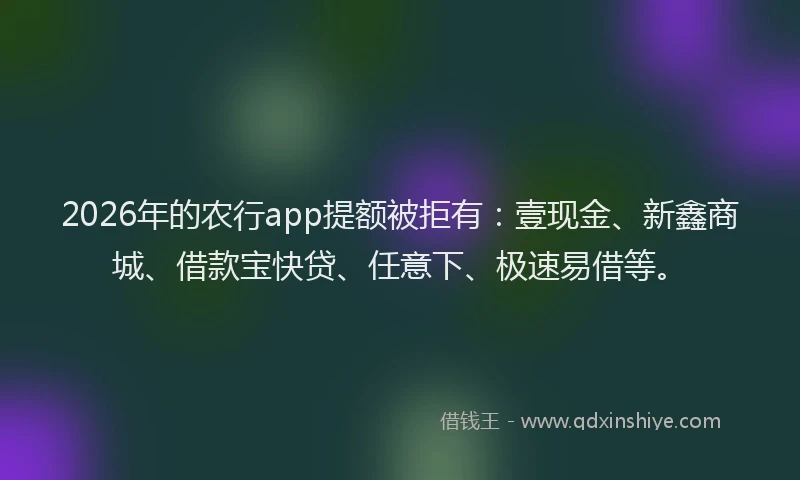 2026年的农行app提额被拒有：壹现金、新鑫商城、借款宝快贷、任意下、极速易借等。