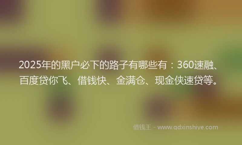 2025年的黑户必下的路子有哪些有：360速融、百度贷你飞、借钱快、金满仓、现金侠速贷等。
