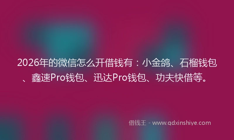 2026年的微信怎么开借钱有：小金鸽、石榴钱包、鑫速Pro钱包、迅达Pro钱包、功夫快借等。