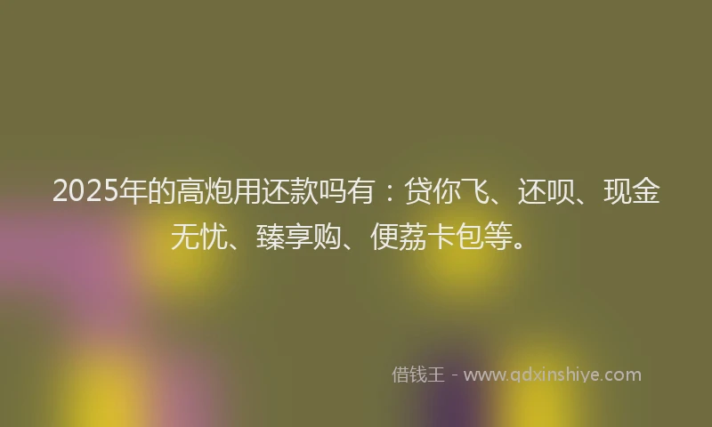2025年的高炮用还款吗有:贷你飞、还呗、现金无忧、臻享购、便荔卡包等。