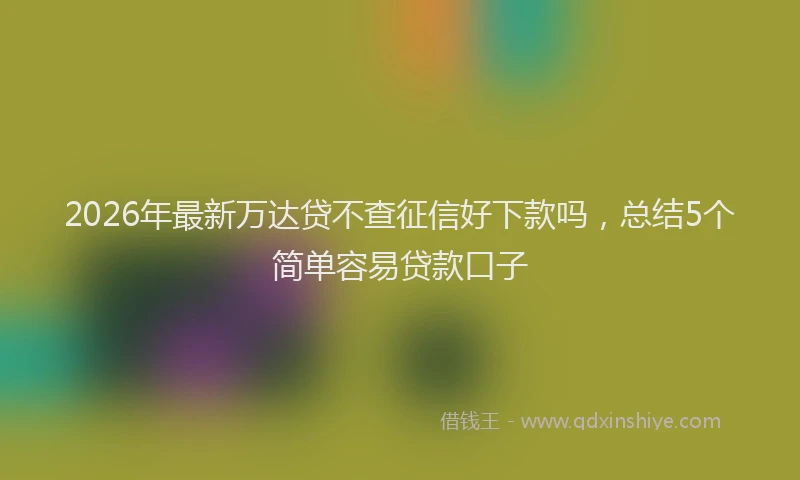 2026年最新万达贷不查征信好下款吗,总结5个简单容易贷款口子