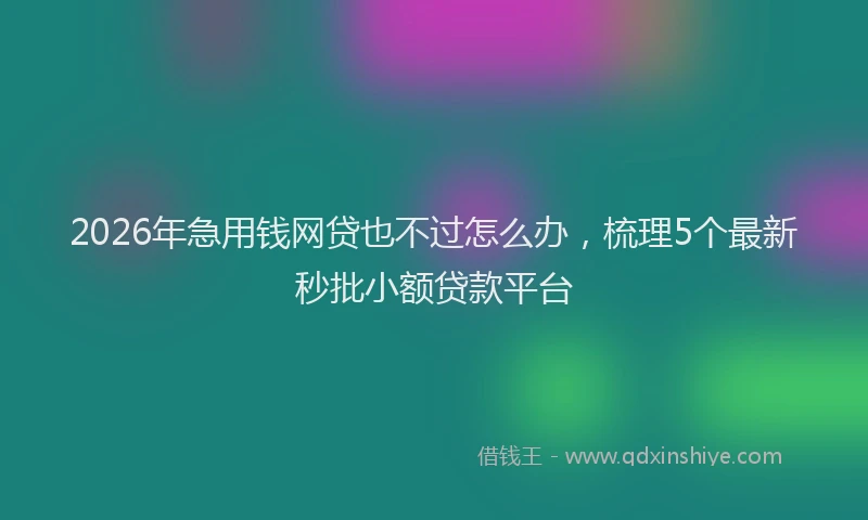 2026年急用钱网贷也不过怎么办，梳理5个最新秒批小额贷款平台