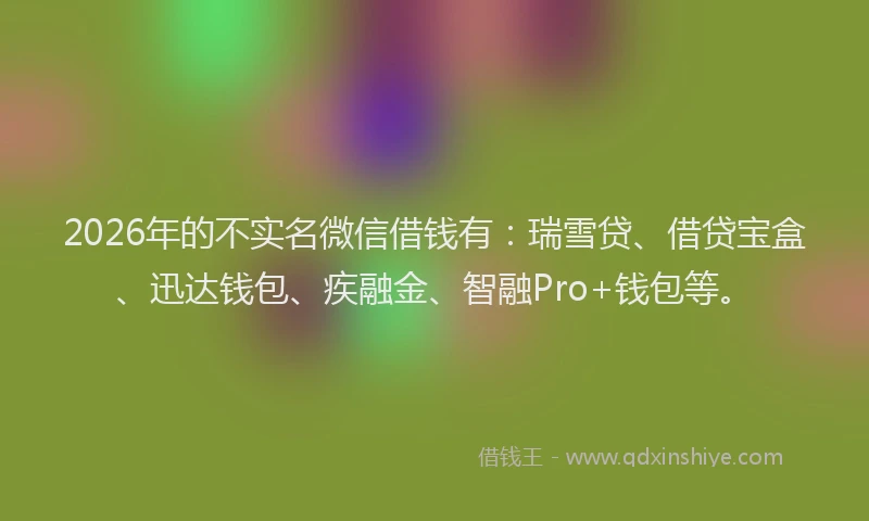 2026年的不实名微信借钱有：瑞雪贷、借贷宝盒、迅达钱包、疾融金、智融Pro+钱包等。
