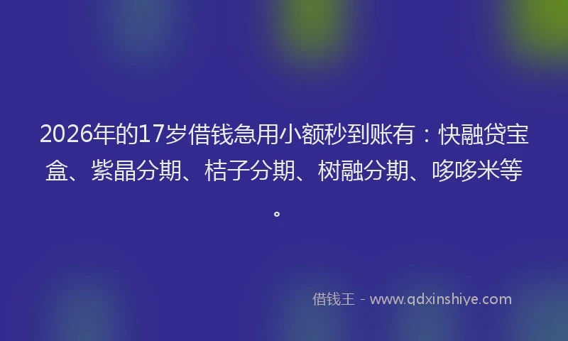 2026年的17岁借钱急用小额秒到账有:快融贷宝盒、紫晶分期、桔子分期、树融分期、哆哆米等。