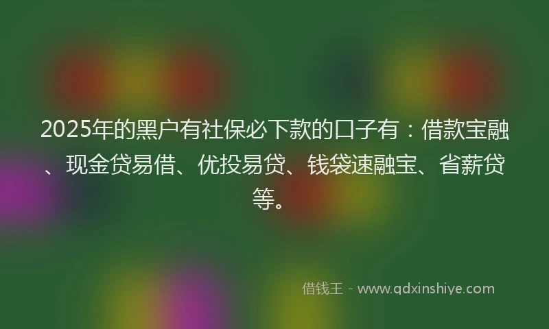 2025年的黑户有社保必下款的口子有:借款宝融、现金贷易借、优投易贷、钱袋速融宝、省薪贷等。