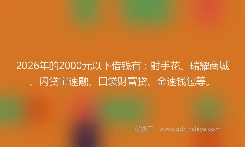 2026年的2000元以下借钱有:射手花、瑞耀商城、闪贷宝速融、口袋财富贷、金速钱包等。
