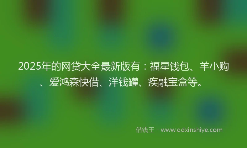 2025年的网贷大全最新版有：福星钱包、羊小购、爱鸿森快借、洋钱罐、疾融宝盒等。