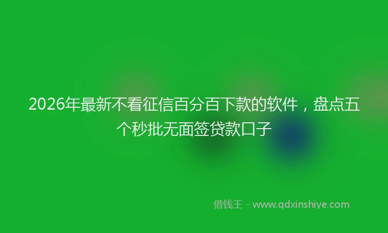 2026年最新不看征信百分百下款的软件，盘点五个秒批无面签贷款口子