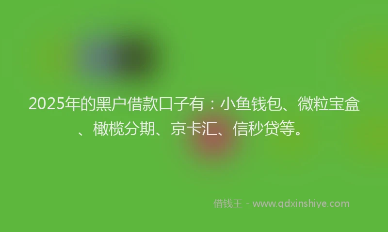 2025年的黑户借款口子有：小鱼钱包、微粒宝盒、橄榄分期、京卡汇、信秒贷等。