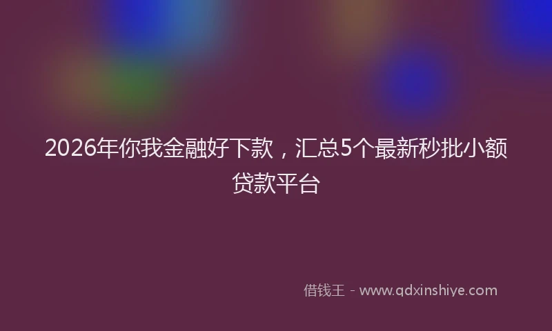 2026年你我金融好下款,汇总5个最新秒批小额贷款平台