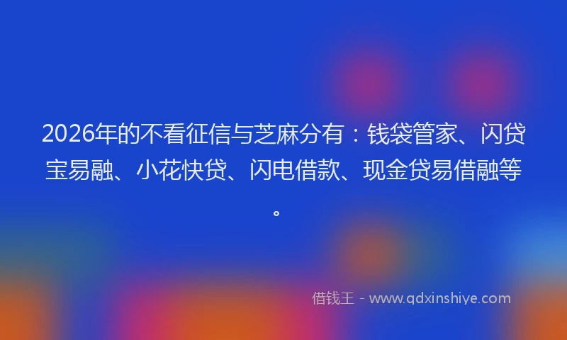 2026年的不看征信与芝麻分有:钱袋管家、闪贷宝易融、小花快贷、闪电借款、现金贷易借融等。