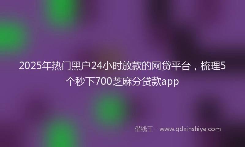 2025年热门黑户24小时放款的网贷平台，梳理5个秒下700芝麻分贷款app