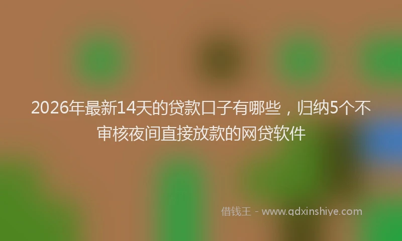 2026年最新14天的贷款口子有哪些，归纳5个不审核夜间直接放款的网贷软件