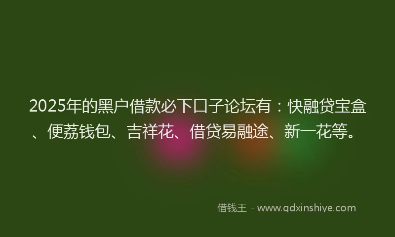 2025年的黑户借款必下口子论坛有：快融贷宝盒、便荔钱包、吉祥花、借贷易融途、新一花等。
